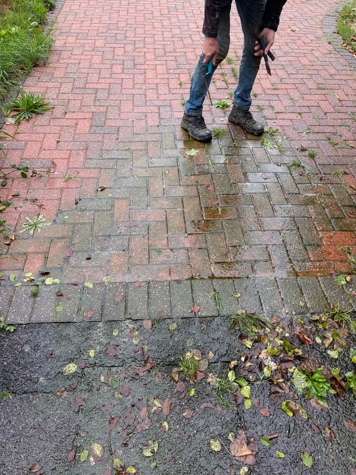 Wet, mossy block paving in Hassocks caused by a leaking underground water supply pipe.